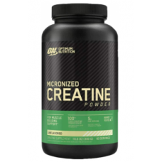 OPTIMUM NUTRITION CREATINE POWDER
